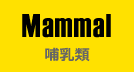 Mammal｜哺乳類
