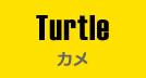 Turtle｜カメ
